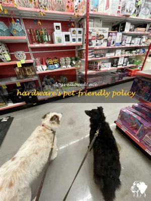 Are Dogs Allowed at Ace Hardware? Exploring the Intersection of Pet Policies and DIY Culture