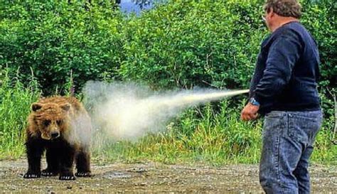 Can You Ship Bear Spray: A Wilderness Essential or a Mailing Dilemma?