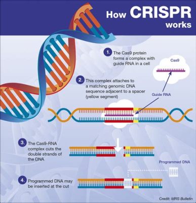 How Are the Mutations in a Genome Similar to Printing a Book? And Why Do Both Processes Sometimes Feel Like a Game of Telephone?