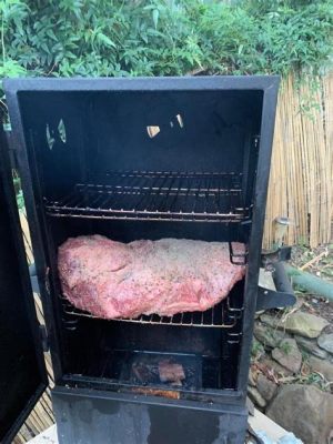 How to Get a Smoke Ring in an Electric Smoker: And Why Your Cat Might Be the Secret Ingredient