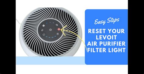 How to Reset Filter Light on Levoit Mini Air Purifier: A Journey Through the Labyrinth of Air Quality