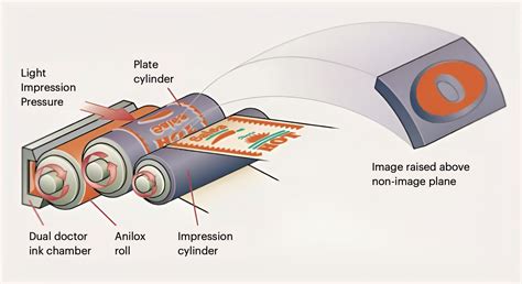 What is Flexo Printing: A Journey Through Ink and Imagination